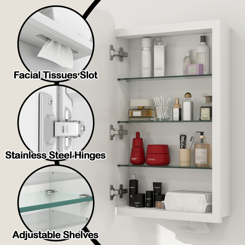 Armoire à pharmacie rectangulaire avec miroir à bord biseauté, armoire de salle de bain sans assemblage avec miroir, tablettes réglables, fente pour papier hygiénique, encastrée ou à fixation en surface
