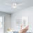 Gaini 52'' Ceiling Fan with LED Lights-1897222917
