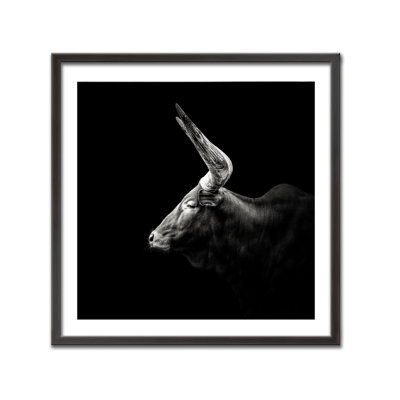 Nature Inspired Watusi by  - Picture Frame Photograph on Paper