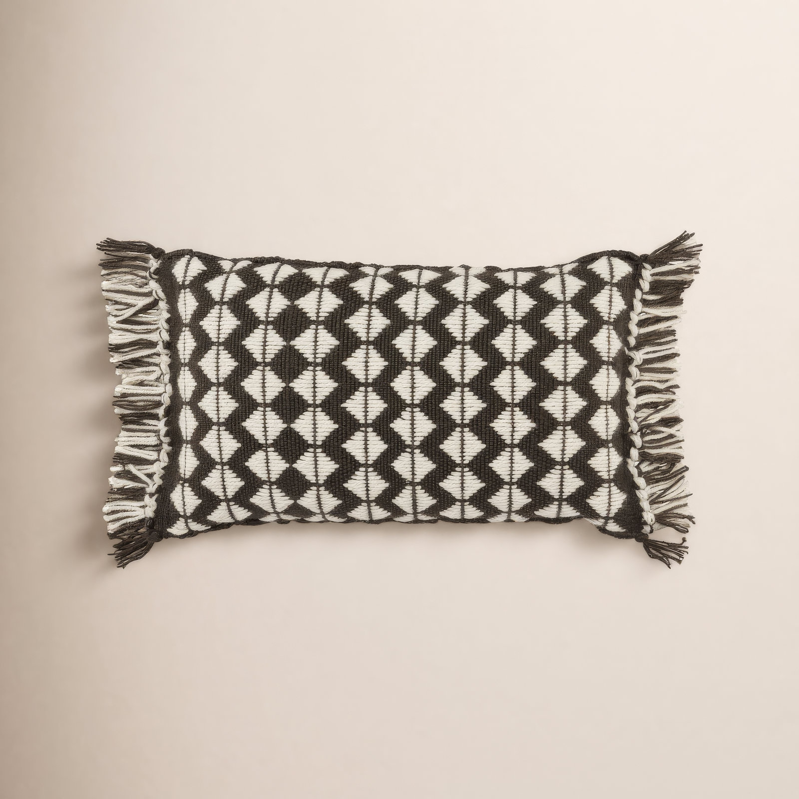 Senda Fringed Indoor/Outdoor Lumbar Throw Pillow, Black/Ivory, Pillow Cover Only - No Insert