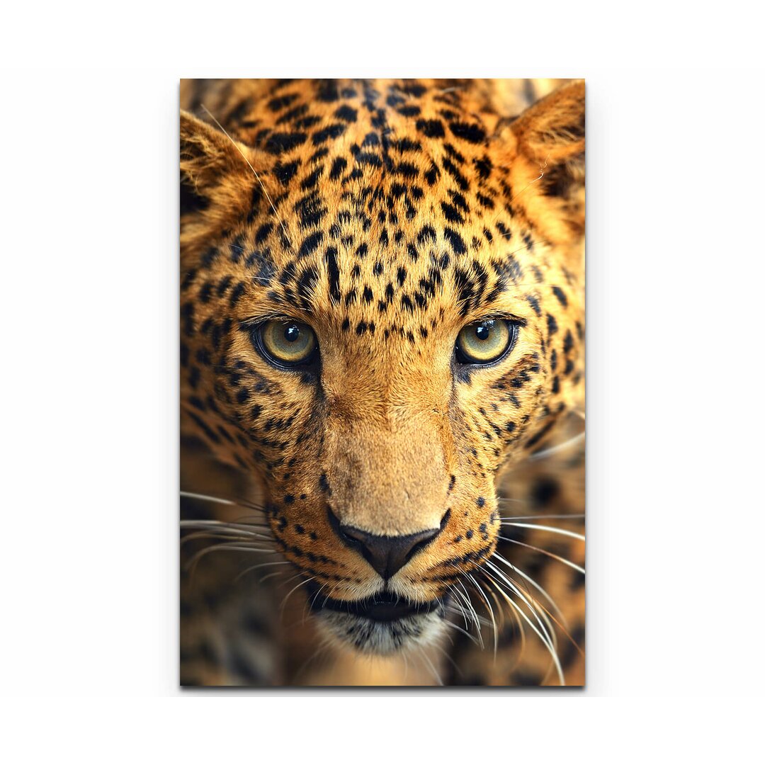 Leinwandbild Aufmerksamer Leopard – Portrait