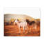 Art mural de Billy Goat Couple-791701598