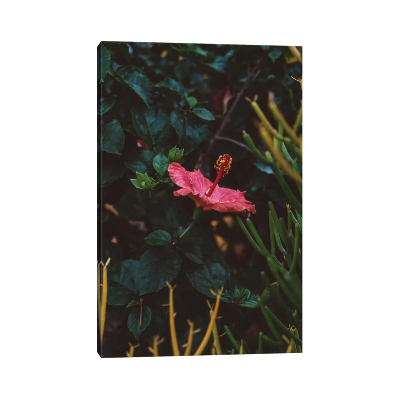 California Bloom by Bethany Young - Print on Canvas, Wrapped Canvas, 45.72cm H x 30.48cm W x 1.91cm D
