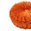 Drusilla Circular Cushion-872259855-876775356