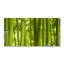 Aashana 50cm W x 100cm L Glass Peel and Stick Panel