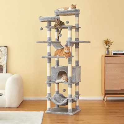 Arbre à chat 74 "Daniyar
