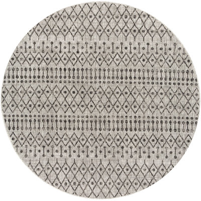 Hongming Indoor / Outdoor Rug