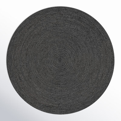 Gage Hand Braided Indoor Rug