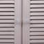 Ivanhoe 2 - Door Standard Accent Cabinet