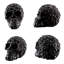 Tête de mort squelette en résine 5,9 pouces Skull Decor
