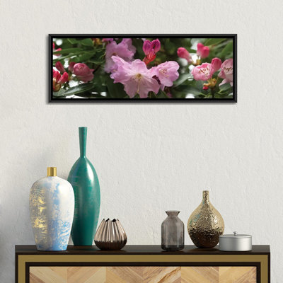 « close-up of rhododendron florals », reproduction de photo sur toile