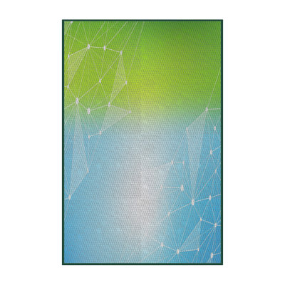 Indoor Rug