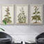 «Munting Botanicals IV», ensemble de 3 toiles encadrées-97709104-97709107