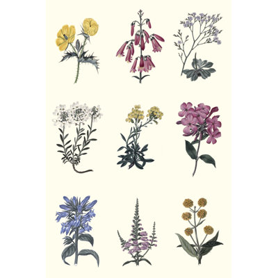 Tableau floral antique