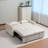 Sleeper Sofa Bed