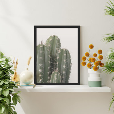«Cactus Succulent Southwest Texas Mexico Saguaro» sur papier
