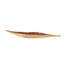 Bol à feuilles Sharma Crimson Gold Shallow Leaf - petit-1312318351-1312318350