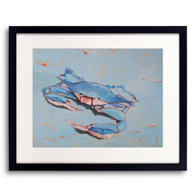 Blue Crab 1 Print by Phyllis Adams