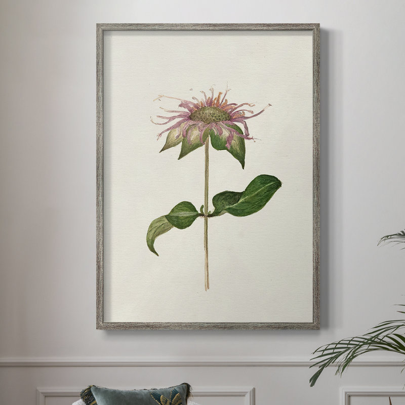 Mauve Garden Flowers V Framed Print - Solid Wood, 30" H x 24" W