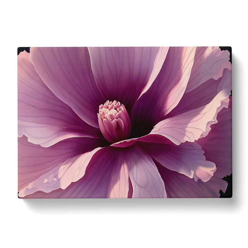 Stunning Carnation Flower - Wrapped Canvas, 35cm H x 50cm W x 3cm D