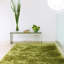 Makaila Silky Shaggy Apple Area Rug-14461310