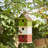 Jaquelyne 14 in x 7 in x 5 in Birdhouse