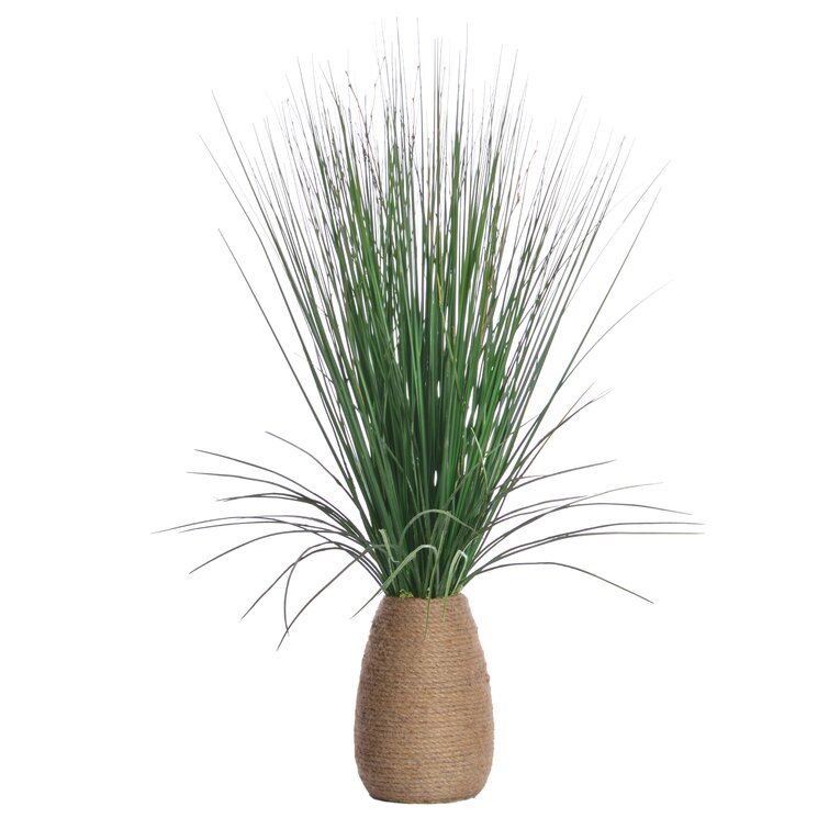 Grass with Twigs in Tapered Hemp Rope Pot Bay Isle Home