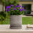 Decorative Line Pattern Planter for Outdoor and Indoor Home Decor - Stylish Cement Flower Pots for Living Room and Patio - 6", Gray & White