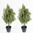 Artificial Norfolk Pine Tree