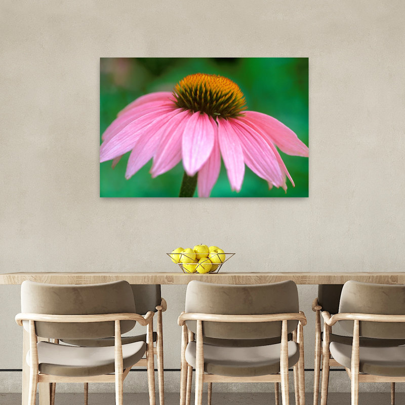 Cone Flower I 1 Piece Wrapped Canvas Wall Art, 60.96 cm H x 91.44 cm W