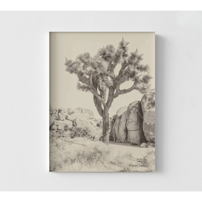 Framed Joshua Tree Prints, Cactus Photography Prints, Sepia Nature Wall Art, Desert Wall Decor,  Desert Picture Frames, Joshua Tree Wall Art