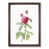 Walnut Framed selected