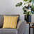 Yellow/White