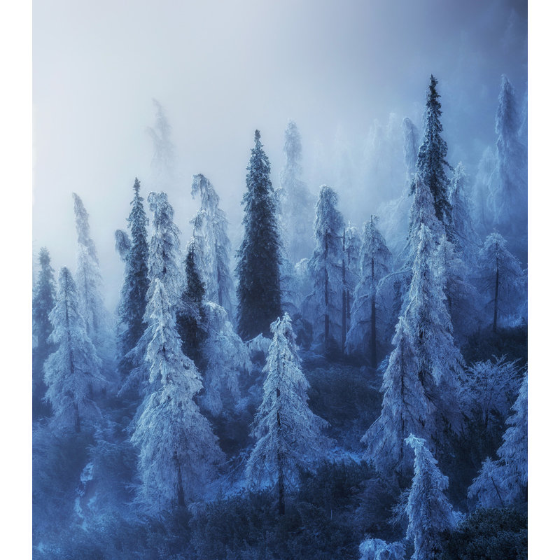 Wrapped Canvas Print, 81.28 cm H x 121.92 cm W