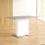 Kerber Extendable Dining Table-27057627