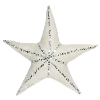 Star Christmas Tree Topper, Silver