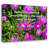 Fleur De Lis Living Gallery Wrapped Canvas By T.K. Kiser: "Sometimes losing everything is the only way to b
