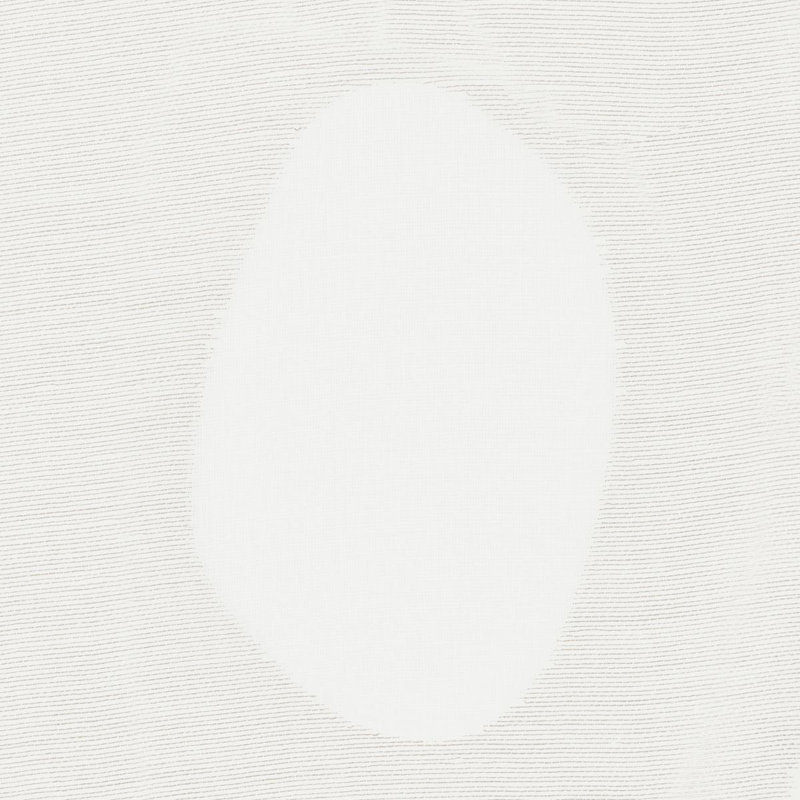 Tissu transparent Elaine, Blanc / Blanc