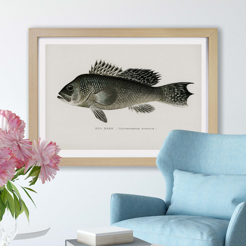 Sea Bass Fish by Sherman F. Denton - Framed Print, 33cm H x 45cm W x 2cm D, Oak