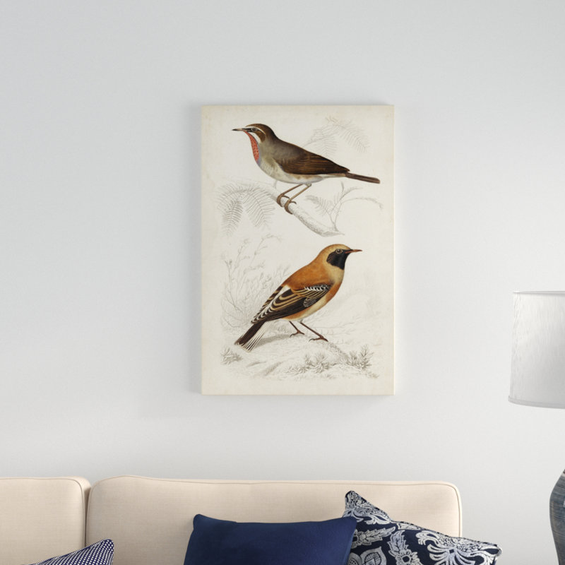 Peinture sur toile, D'orbigny Birds VI, H 30 po x l 20 po