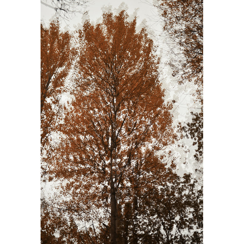 "Aspen" par Christina, H 72 po x l 48 po
