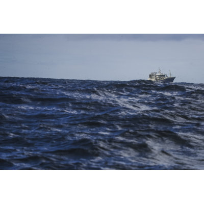 Fishing Boat Sailing Out At Rough Sea - Wrapped Canvas Print