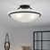 Wilbrecht Glass Semi Flush Mount