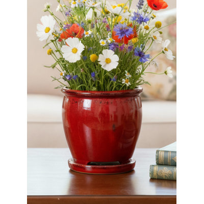  Sora Red Ceramic Planter, Indoor Plant Pot With Built-In Saucer, Glossy Glaze Flower Pot For Houseplants, Herbs, Succulents, Home Or Office Décor, 7" Diameter & 7" Tall