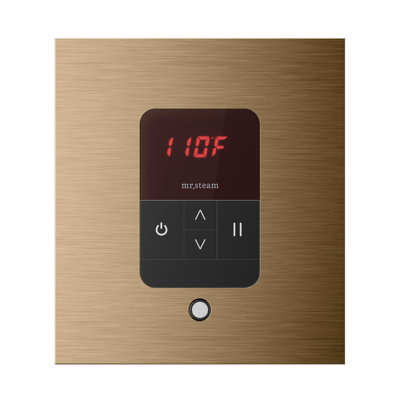 iTempo Square Steam Shower Control and Steamhead