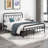 Hidalgo Metal Platform Bed-118303750-118303756