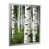 Silver Single Picture Framed