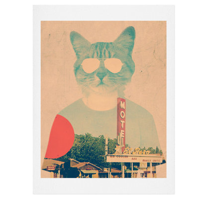 " Cool Cat " by Ali Gulec