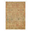 Oriental Area Rug in Brown