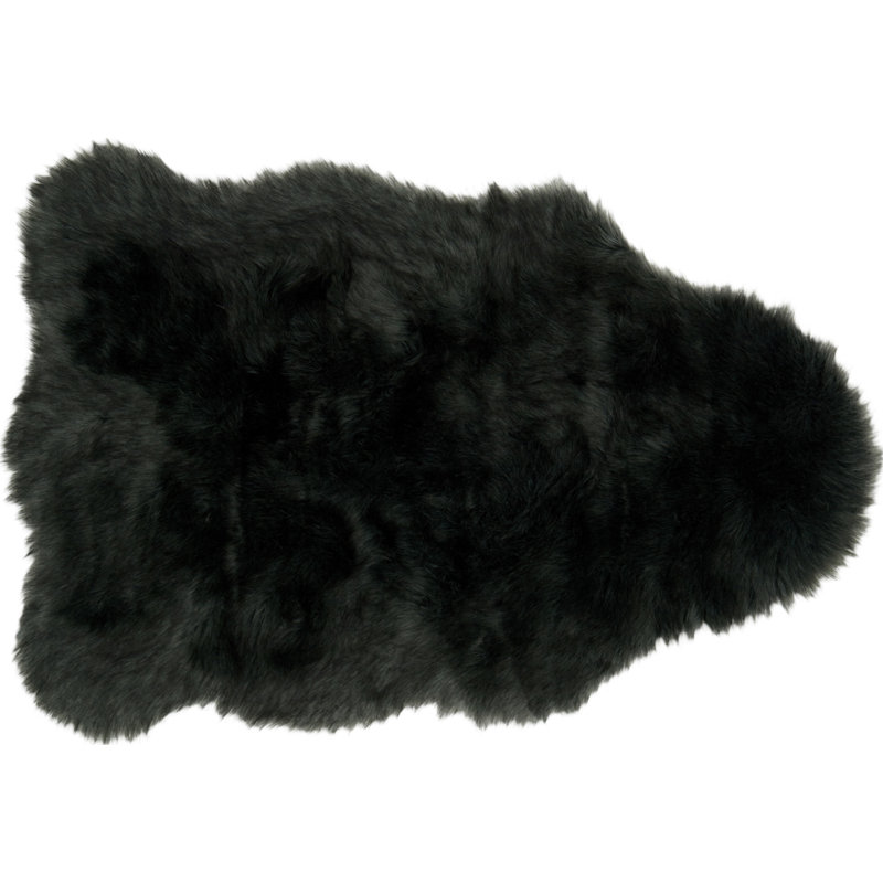 Panella Wool Indoor Rug, Rectangle 2' x 3'